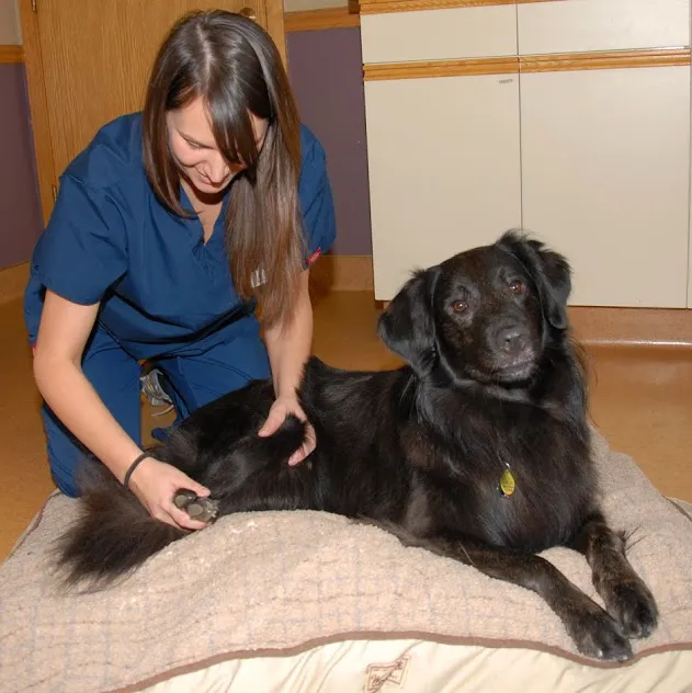 Lancaster Small Animal Hospital 6