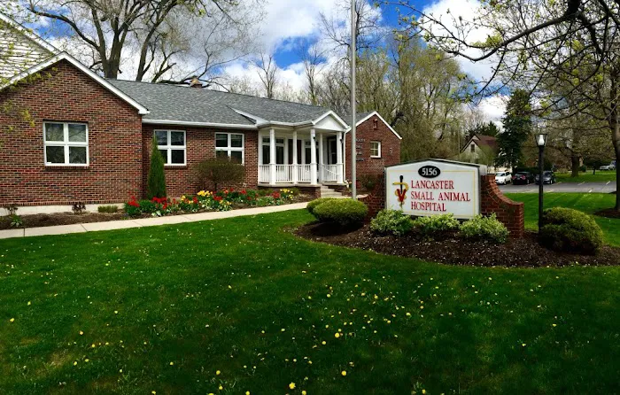 Lancaster Small Animal Hospital 1