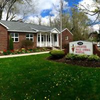 Lancaster Small Animal Hospital ico
