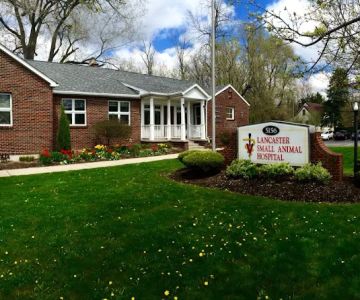 Lancaster Small Animal Hospital