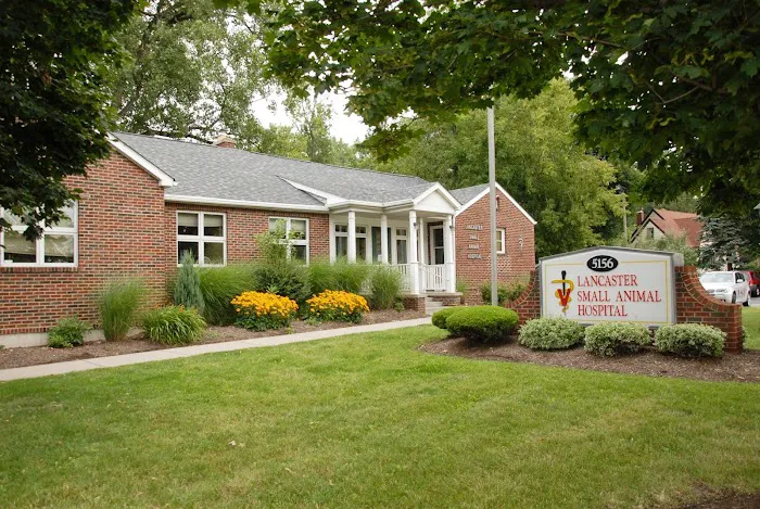 Lancaster Small Animal Hospital 2