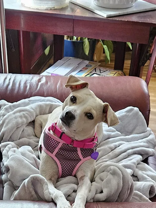 Lancaster Small Animal Hospital 5