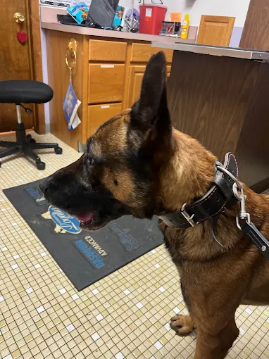 Alliance Animal Hospital 10