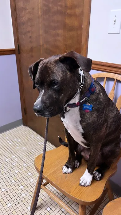 Alliance Animal Hospital 3
