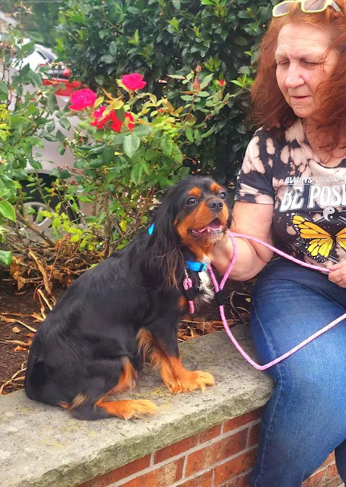 Alliance Animal Hospital 1