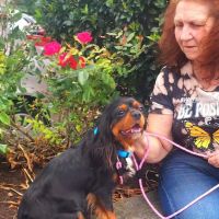 Alliance Animal Hospital ico