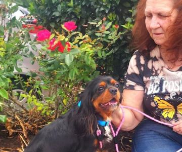 Alliance Animal Hospital