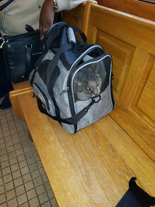 Alliance Animal Hospital 6