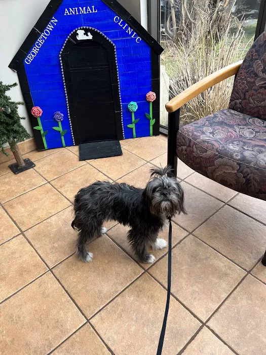 Georgetown Animal Clinic, PC 2