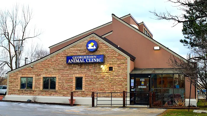 Georgetown Animal Clinic, PC 10
