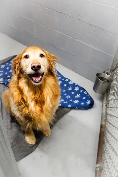 Harris Hill Animal Hospital 10