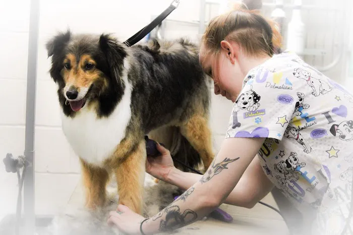 Harris Hill Animal Hospital 1