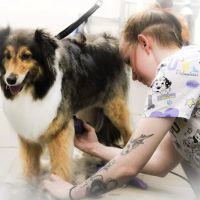 Harris Hill Animal Hospital ico