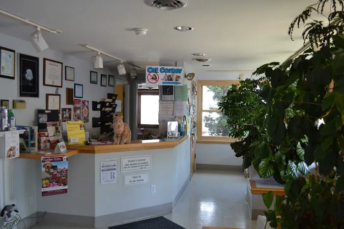 The Animal Hospitable Veterinary Clinic 7
