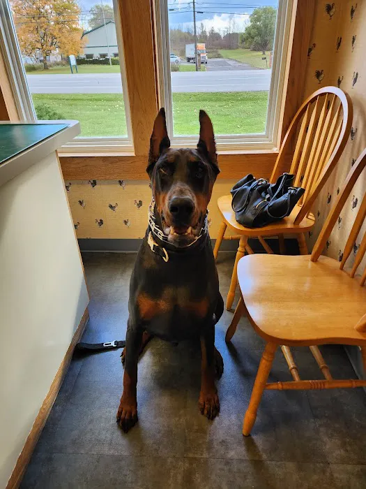 Alden Animal Hospital 6