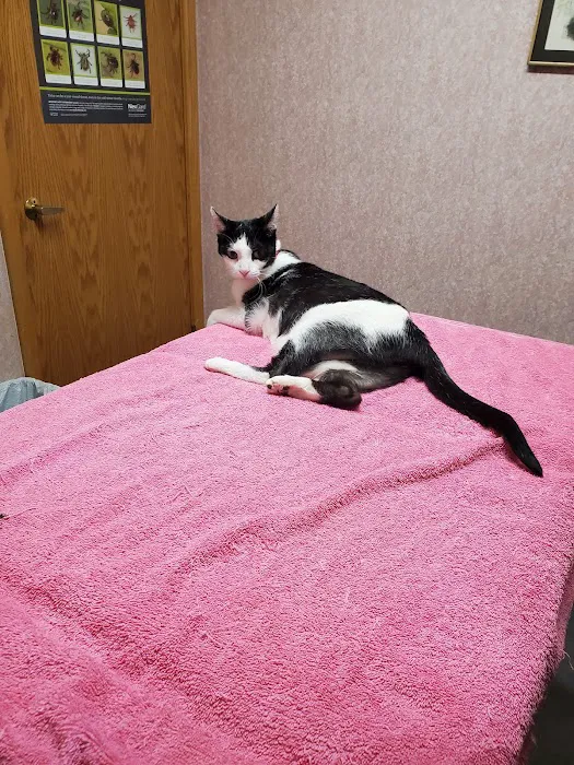 Alden Animal Hospital 7