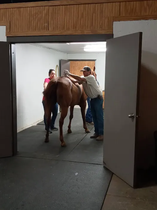 Mckey Equine Hospital 2