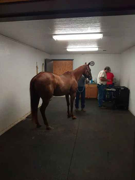 Mckey Equine Hospital 4
