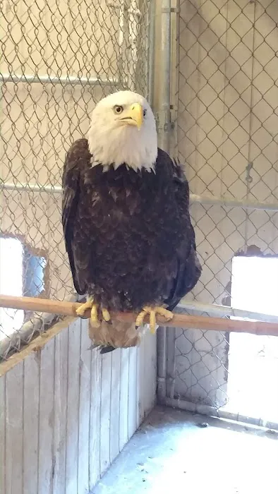 Dr. Gary W. Cox D.V.M Sallisaw Veterinary Clinic 3