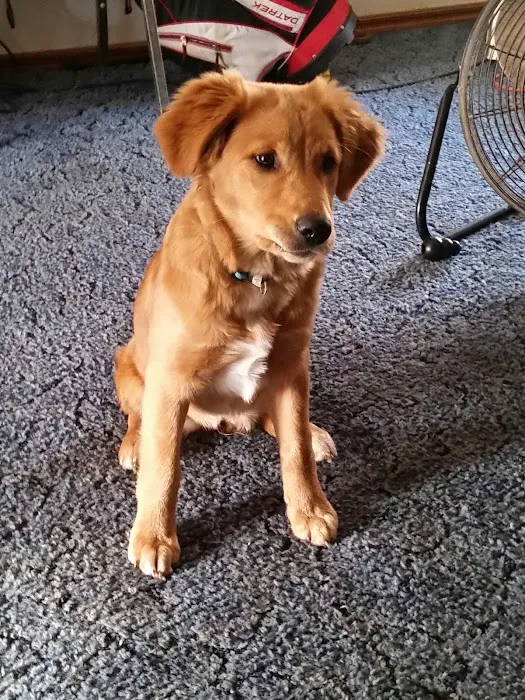 Sallisaw Animal Hospital 9