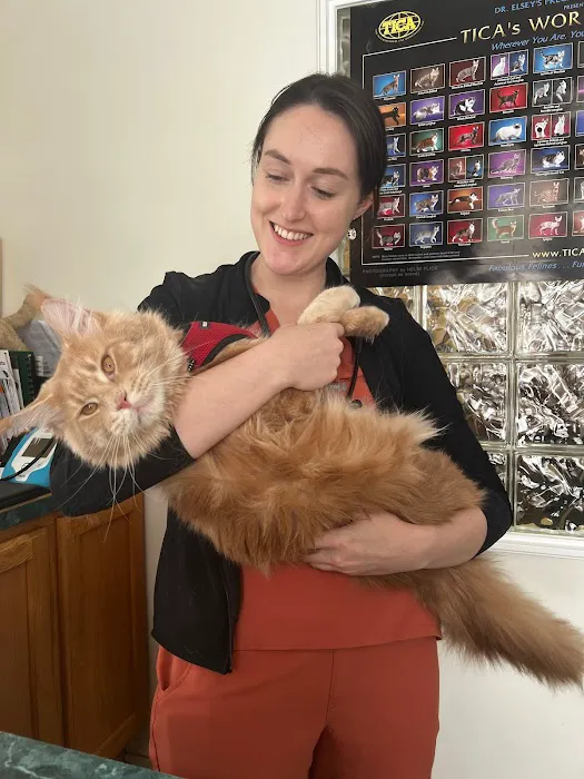 Cats On Call Hospital Inc 5