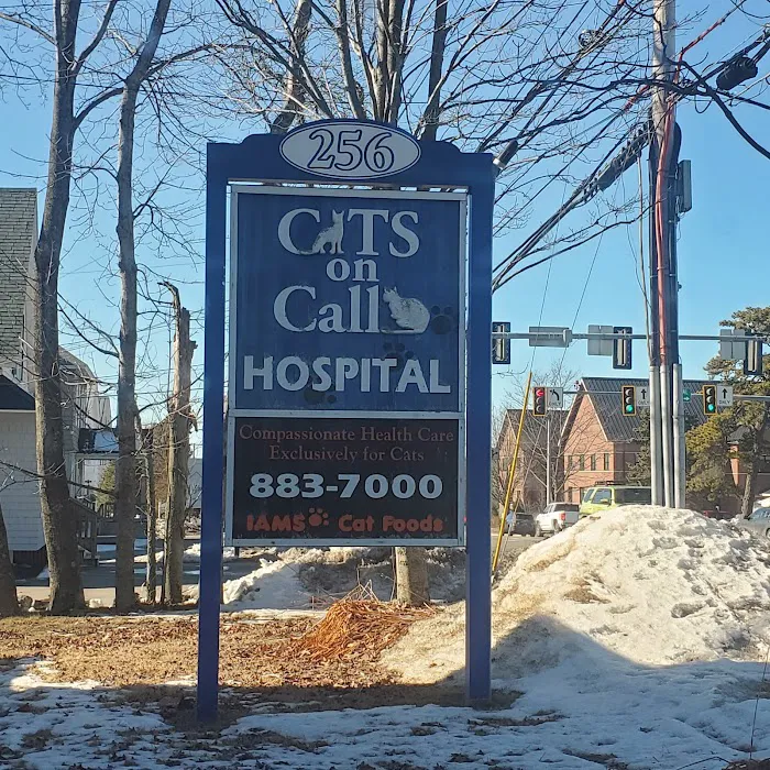 Cats On Call Hospital Inc 4