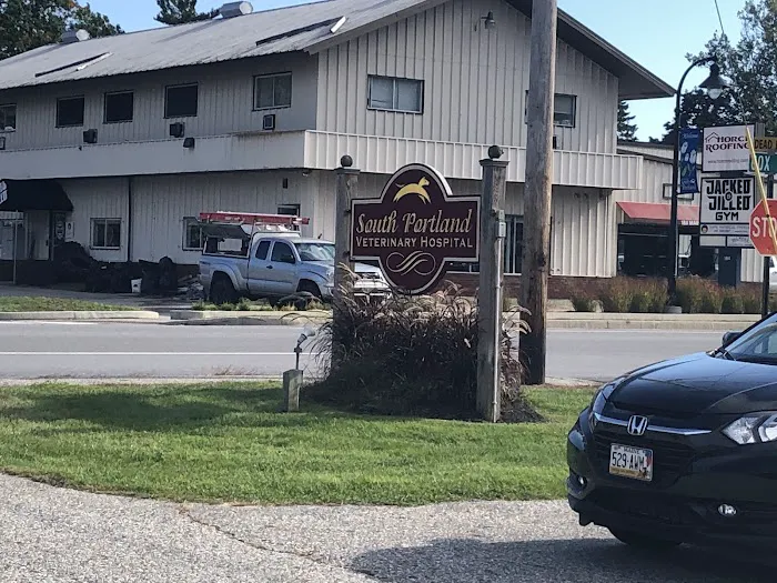South Portland Veterinary Hospital 1
