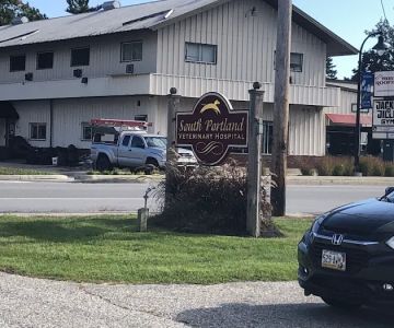 South Portland Veterinary Hospital