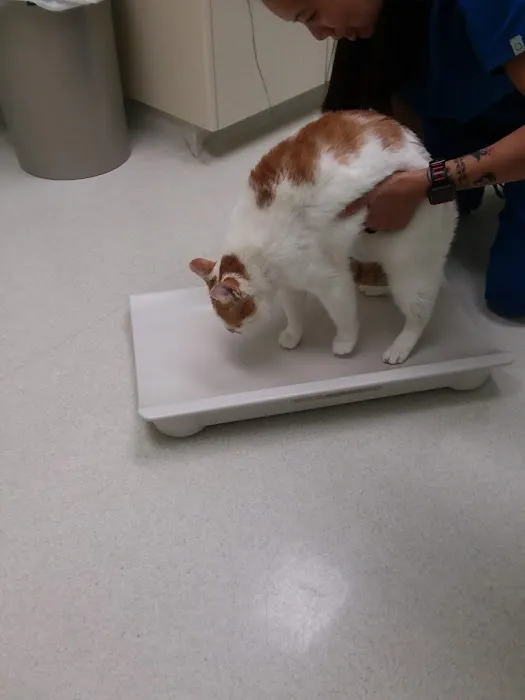 South Portland Veterinary Hospital 2