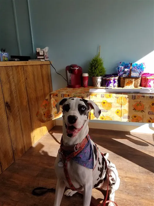Brackett West Veterinary Clinic 4