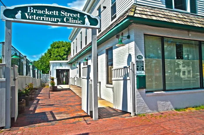 Brackett Street Veterinary Clinic 7