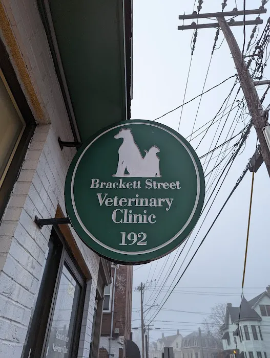 Brackett Street Veterinary Clinic 10