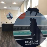 Back Cove Animal Hospital ico