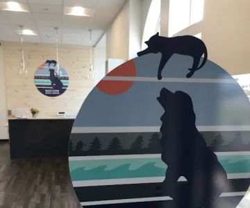 Back Cove Animal Hospital