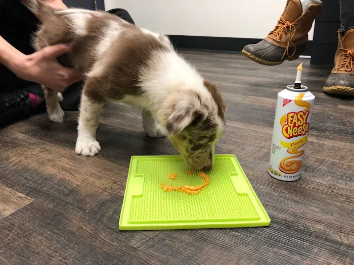 Back Cove Animal Hospital 9