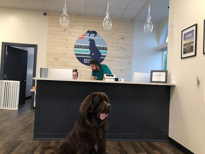 Back Cove Animal Hospital 7