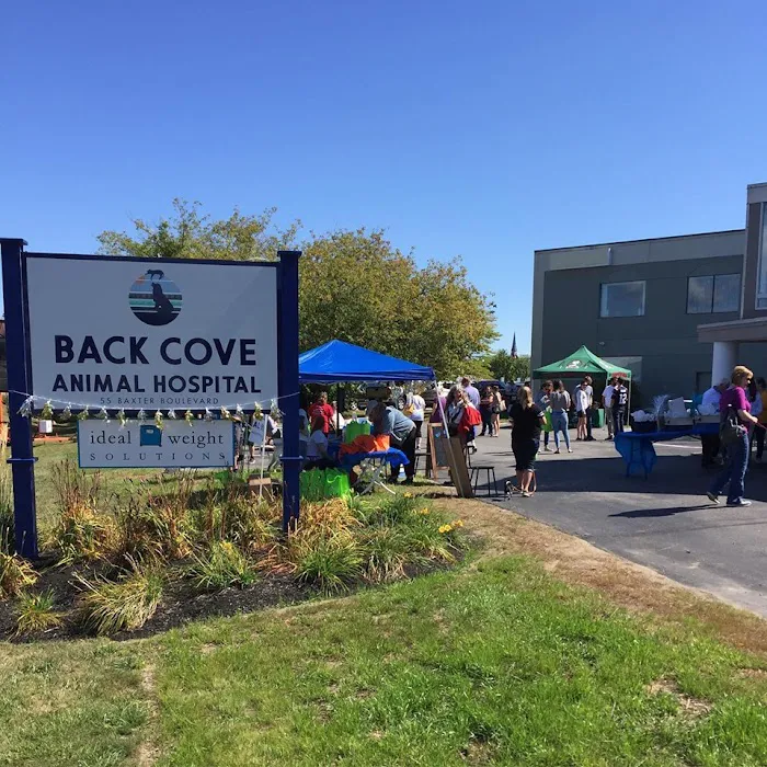 Back Cove Animal Hospital 5