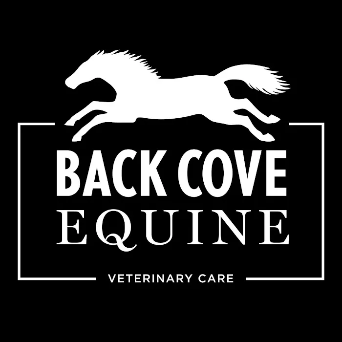 Back Cove Equine Veterinary Care 2