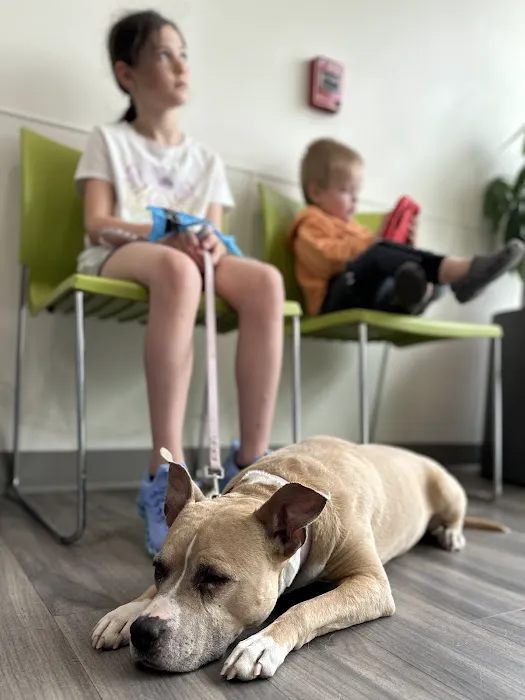 Portland PetMedic Urgent Care Vet Clinic 8