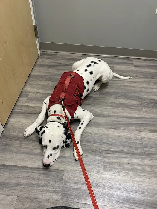 Portland PetMedic Urgent Care Vet Clinic 2