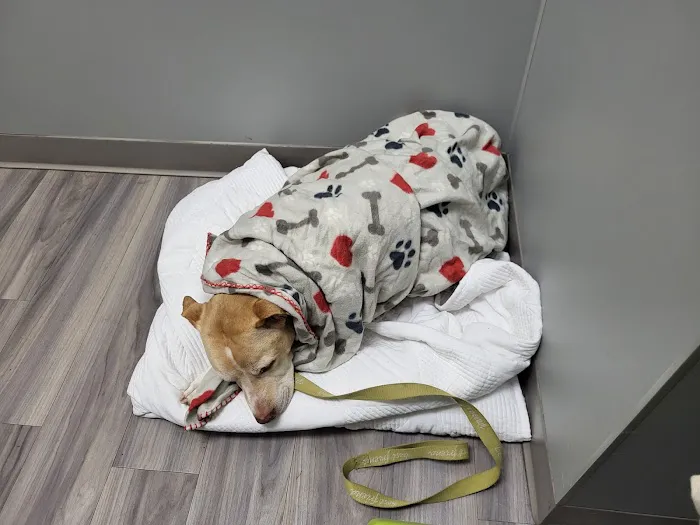 Portland PetMedic Urgent Care Vet Clinic 3