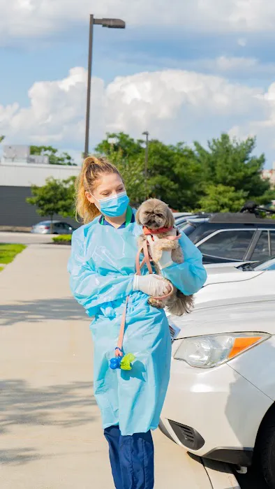 Portland PetMedic Urgent Care Vet Clinic 7