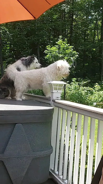Auburn Animal Center 3