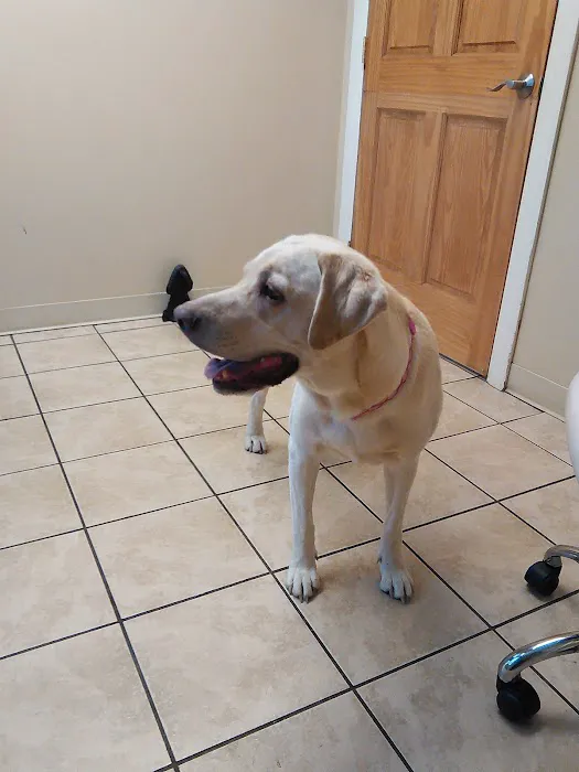 Auburn Animal Center 2