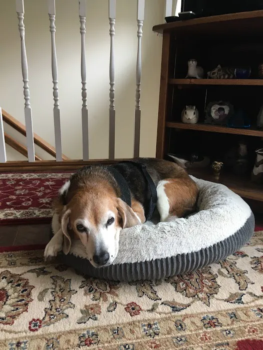 Animal Emergency Clinic of Mid-Maine 2
