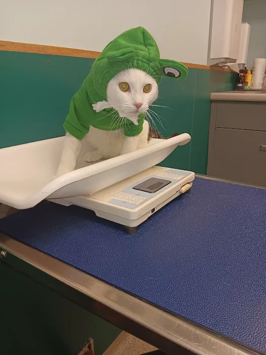 VCA Lewiston Animal Hospital 5