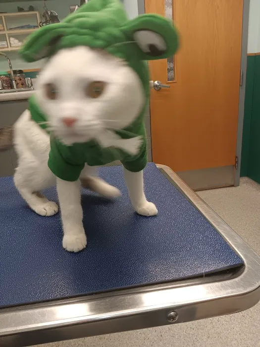VCA Lewiston Animal Hospital 7