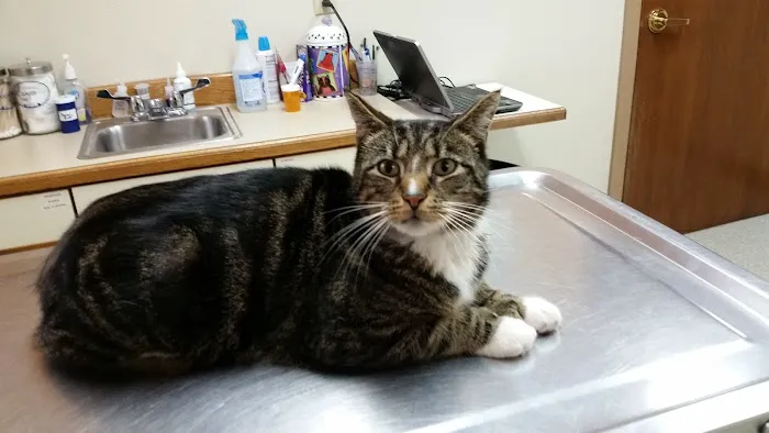 Turner Veterinary Service 8
