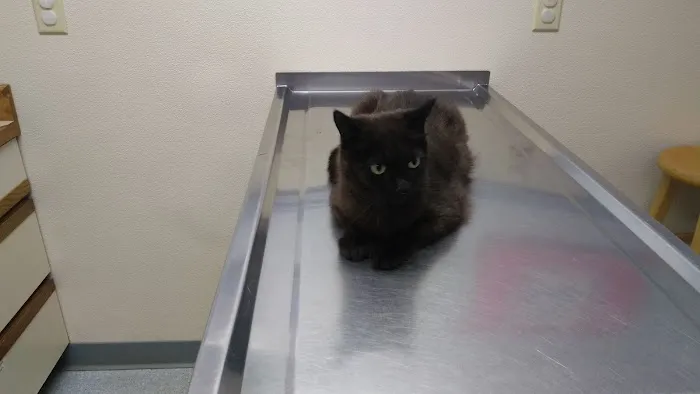 Turner Veterinary Service 7