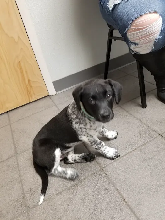Lisbon Road Animal Hospital 9